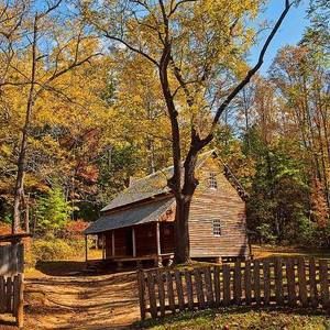 Meet your Posher, Janet